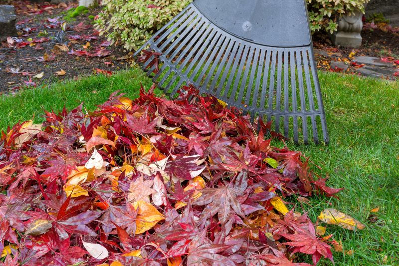 Raking Leaves