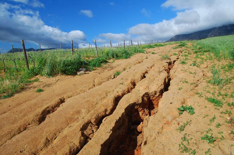 Soil Erosion Repair