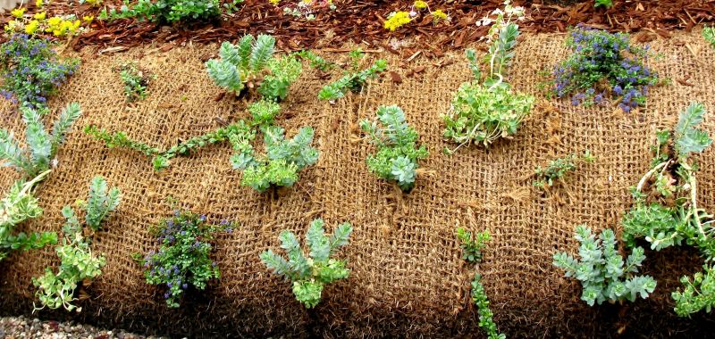 Eco-Friendly Options